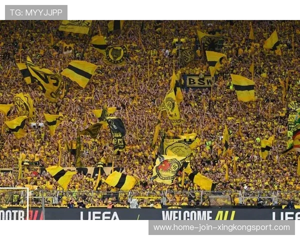 多特蒙德夏季转会窗口聚焦南美市场，速度型球员成目标